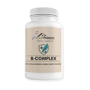 B-Complex Supplement