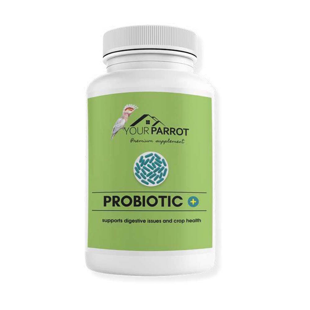 Probiotic + Supplement